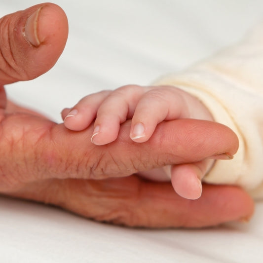 Milestone Will Review & Re-Writing